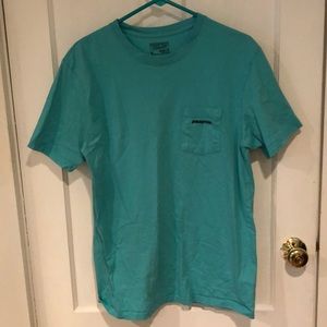 Patagonia teal tshirt